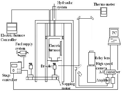 Figure 1 Figure 1
