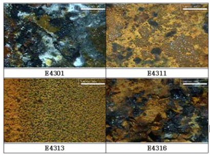 Figure 13: