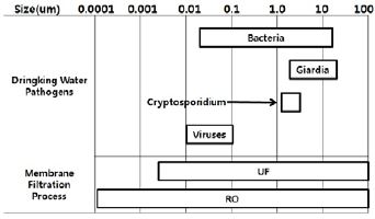 Figure 1 Figure 1