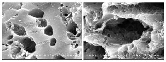 Figure 3 Figure 3