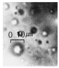 Figure 3: Figure 3:
