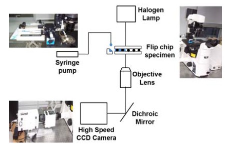 Figure 2: Figure 2: