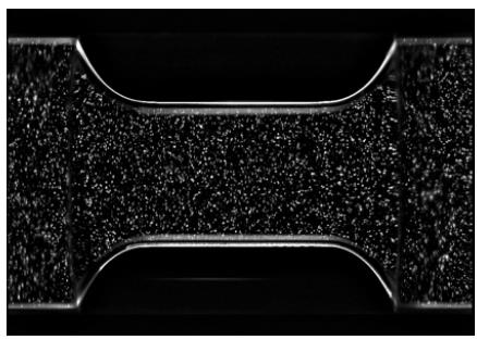 Figure 3: Figure 3: