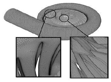 Figure 5 Figure 5