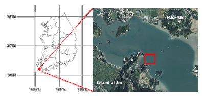 Figure 1 Figure 1