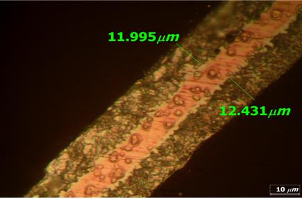 Figure 6 :