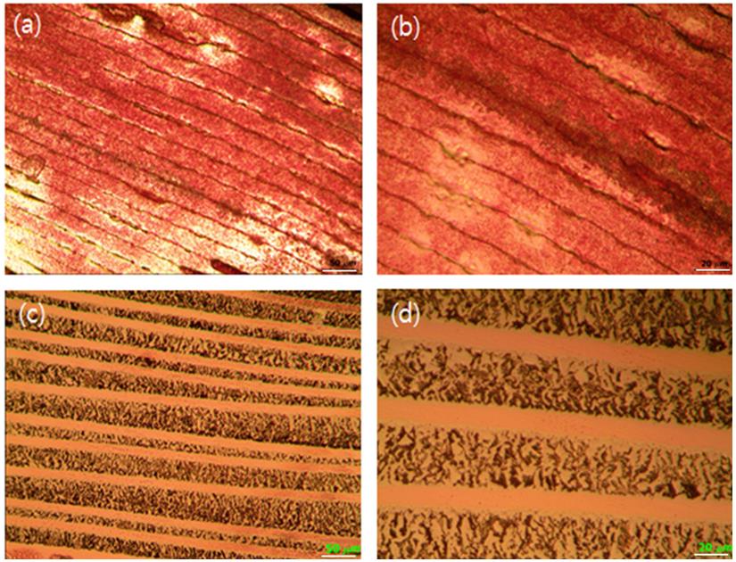 Figure 15 :