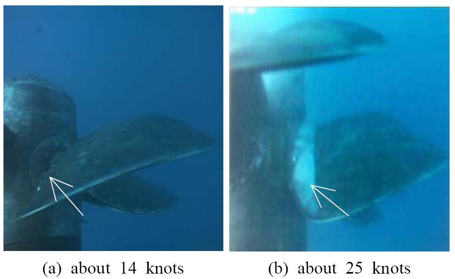 Figure 4: Figure 4:
