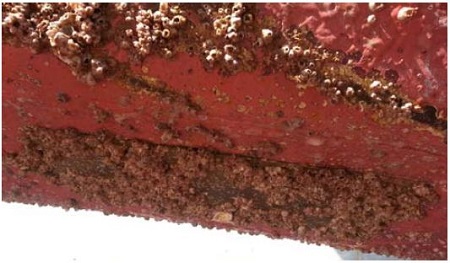 Figure 4: Figure 4: