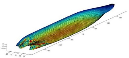 Figure 2: