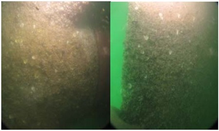 Figure 7: Figure 7: