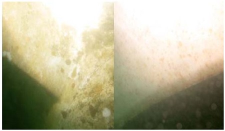 Figure 9: Figure 9: