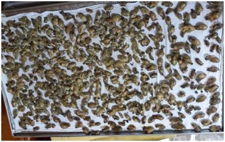 Figure 2: Figure 2: