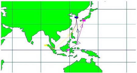 Figure 10:
