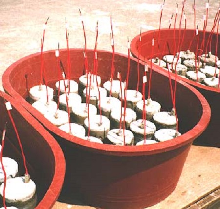 Figure 2:
