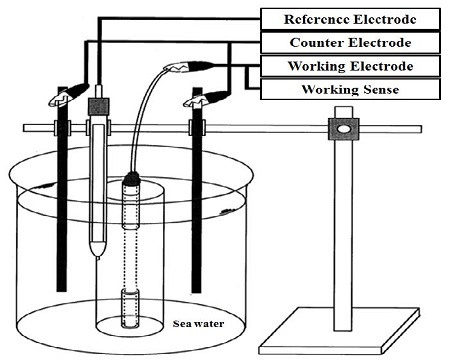 Figure 3: