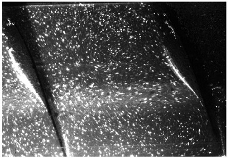 Figure 5: