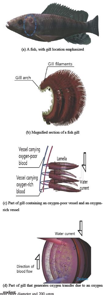 Figure 1: Figure 1:
