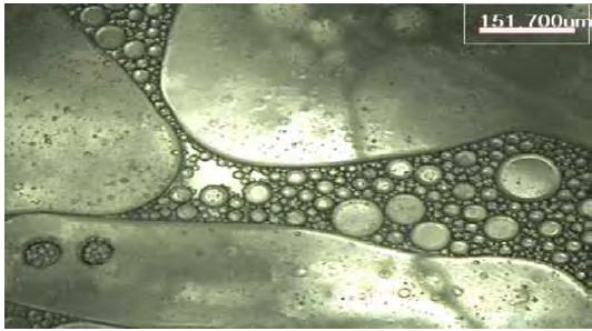 Figure 5: