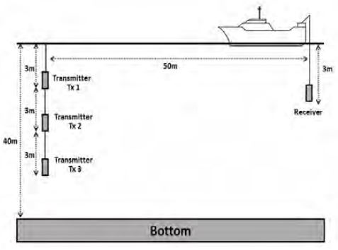 Figure 10: