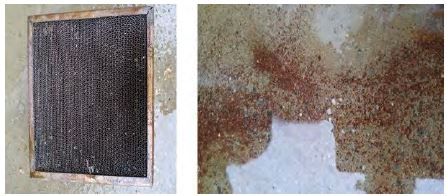 Figure 9: Figure 9:
