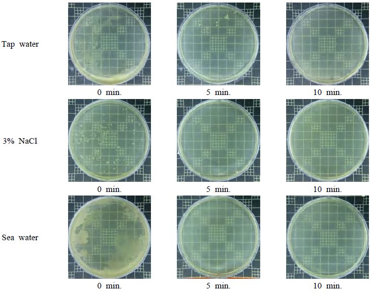 Figure 6: