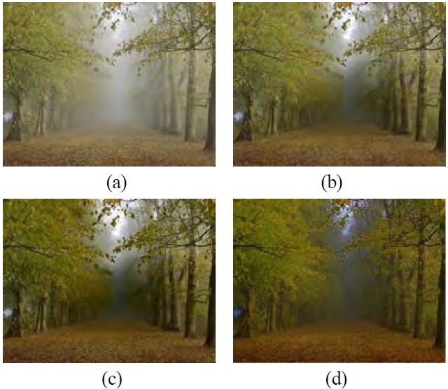 Figure 10:
