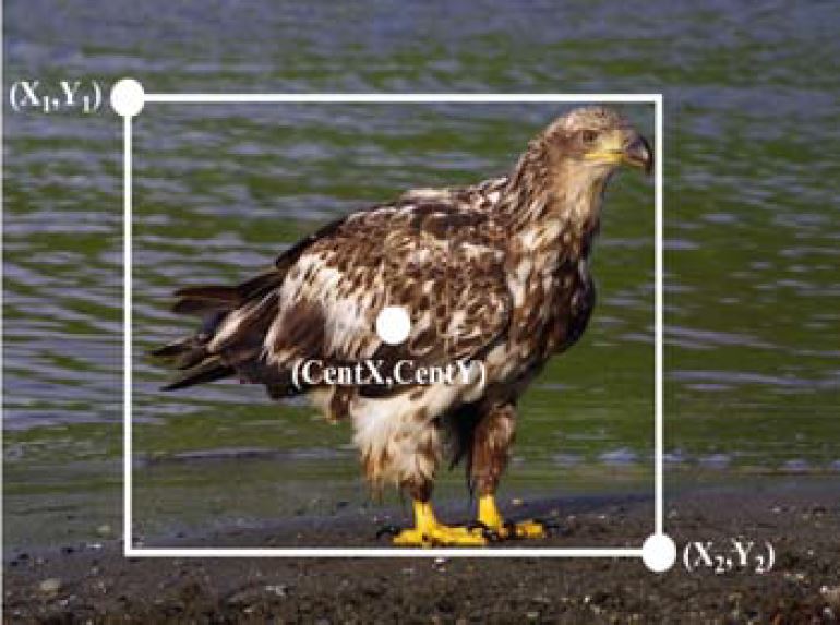 Figure 3: Figure 3: