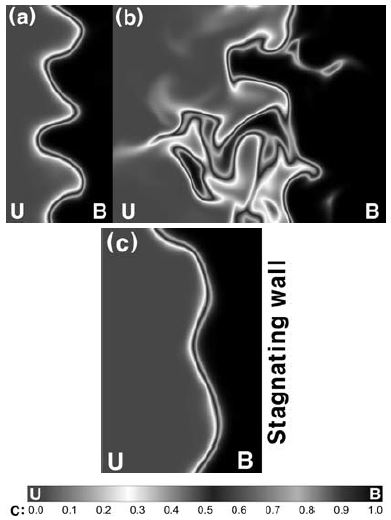 Figure 2:
