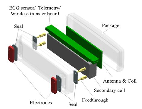 Figure 4: