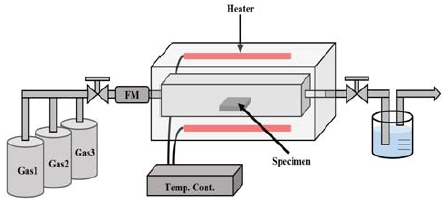Figure 1: