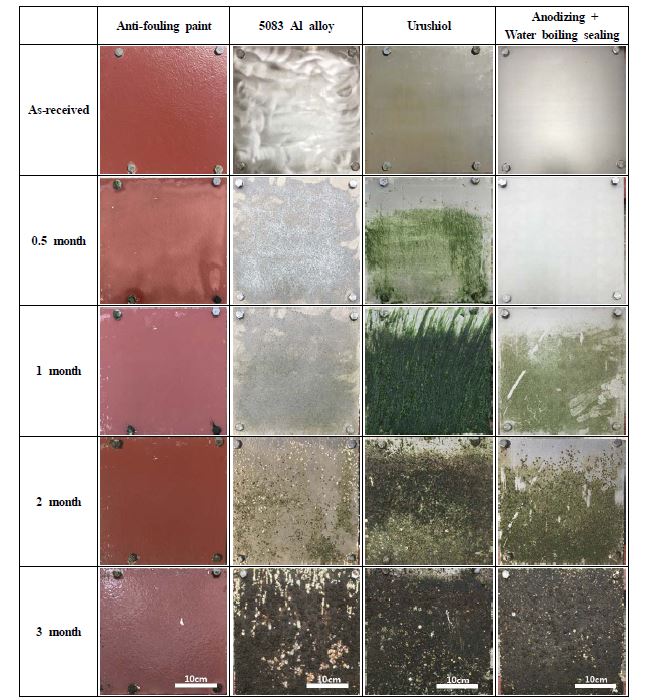 Figure 5: Figure 5: