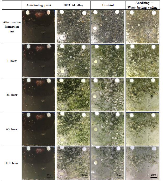 Figure 6: Figure 6: