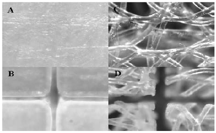 Figure 2: Figure 2: