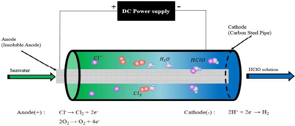 Figure 2: