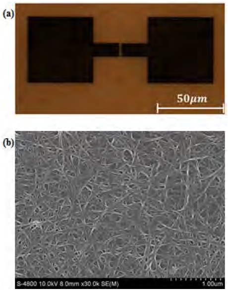 Figure 4: