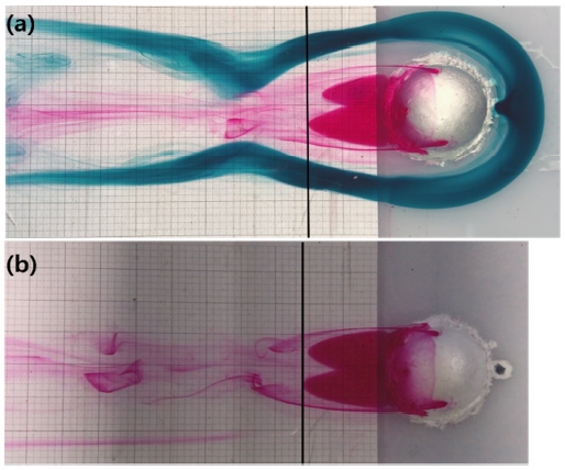 Figure 5: