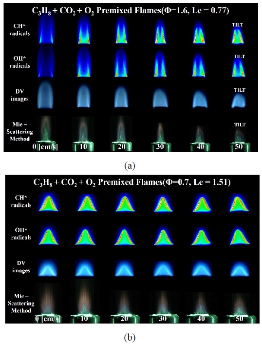 Figure 4: