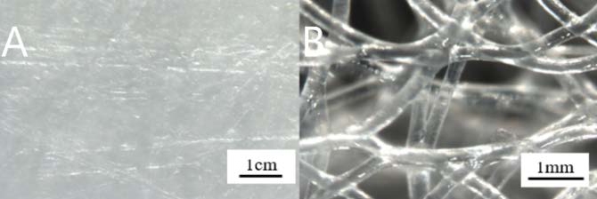 Figure 5: