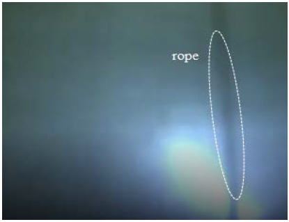 Figure 1: Figure 1: