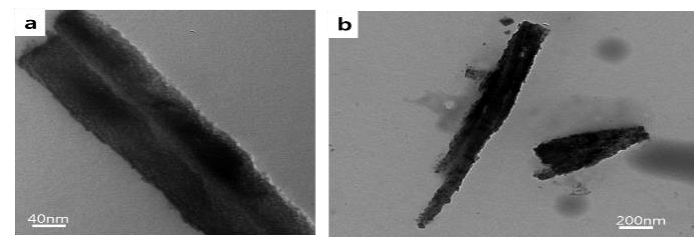 Figure 6: Figure 6: