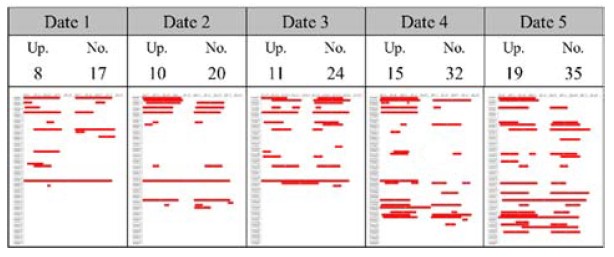 Figure 11: