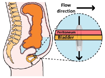 Figure 1: