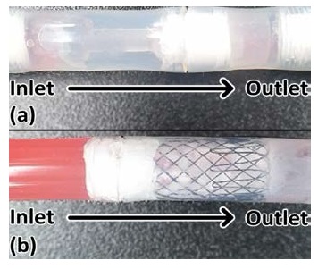 Figure 5: