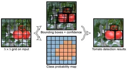 Figure 1: Figure 1: