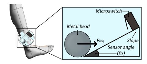 Figure 4: