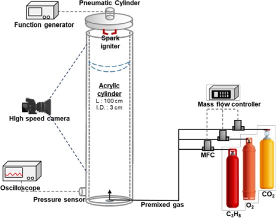 Figure 1: