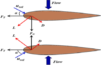 Figure 2: