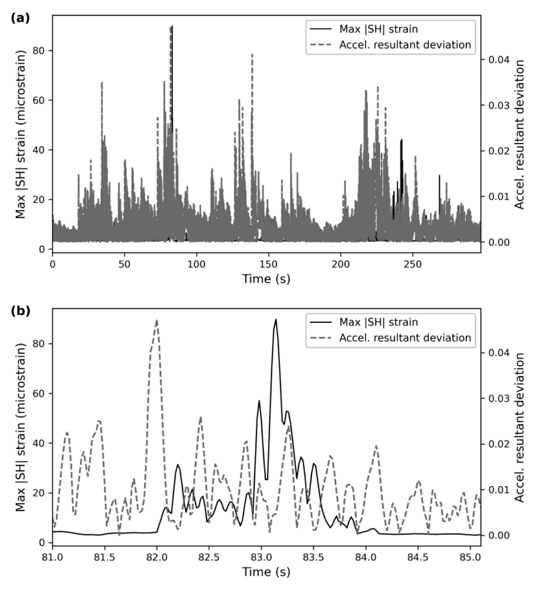 Figure 6: